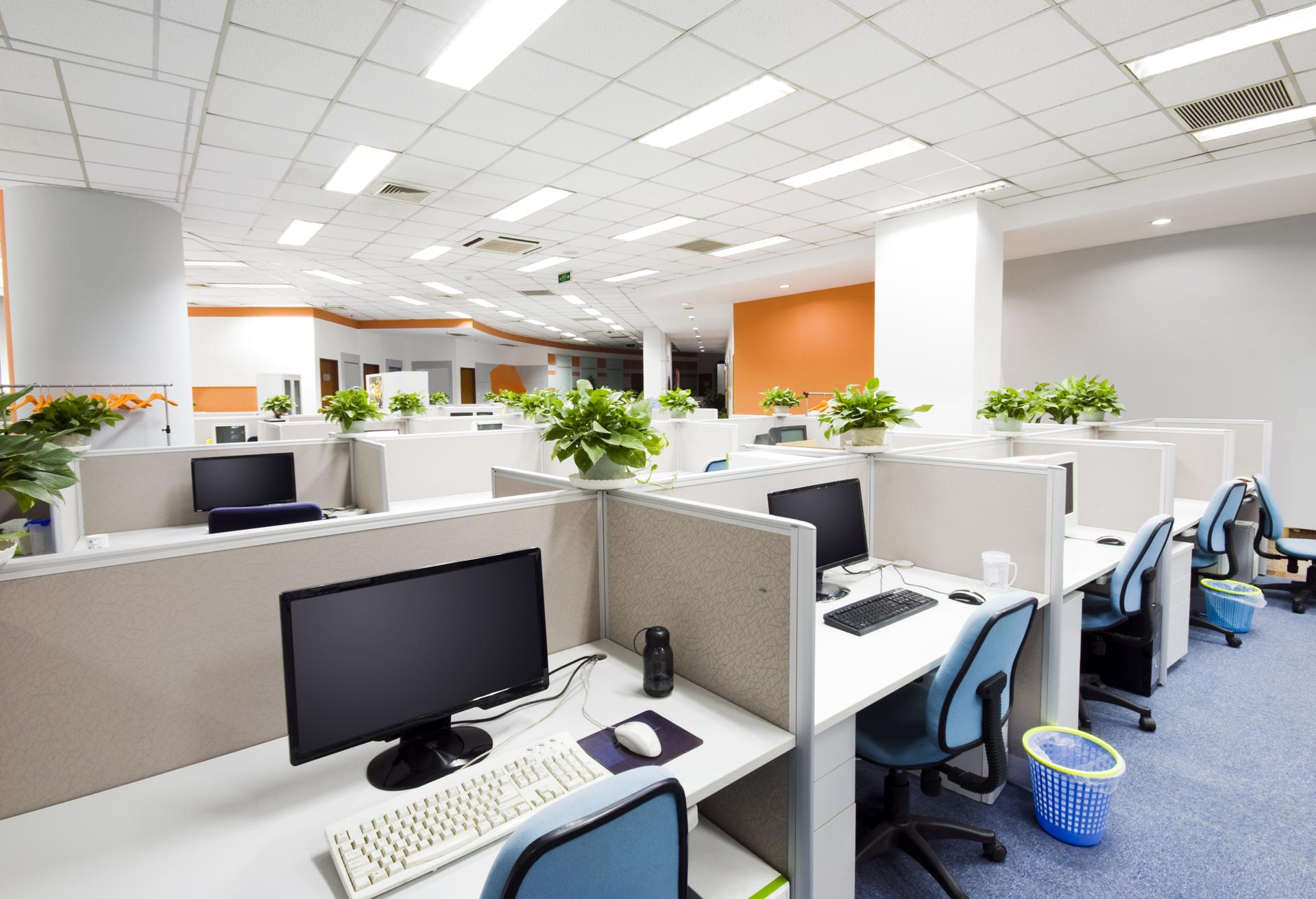 Expert Commercial Cleaning Services in Inner West